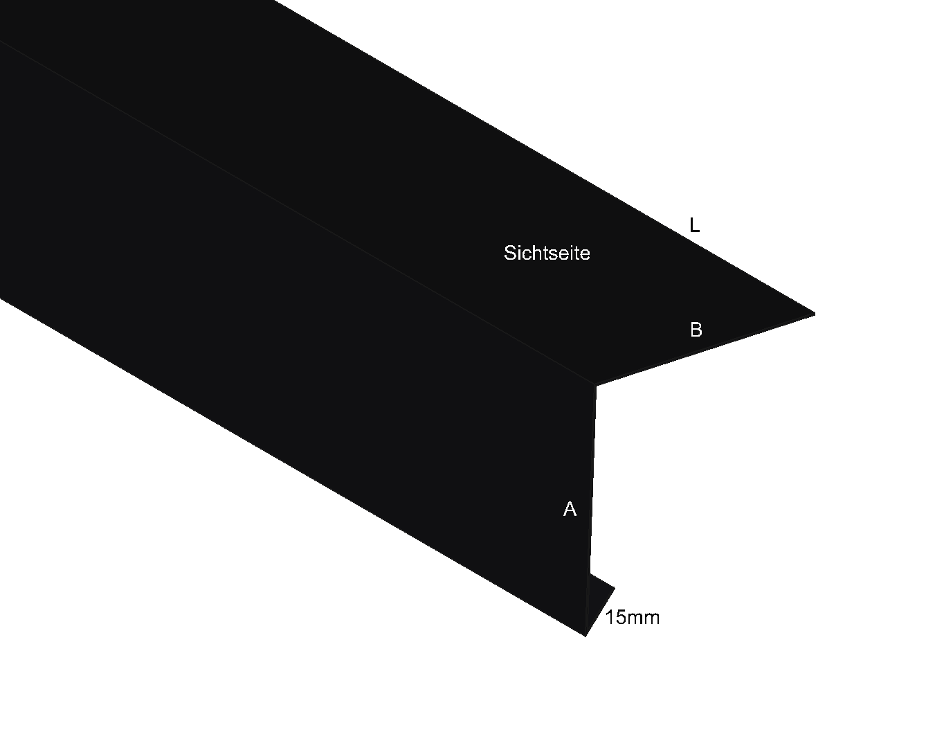 Dachrandprofil_RAL9005_Tiefschwarz