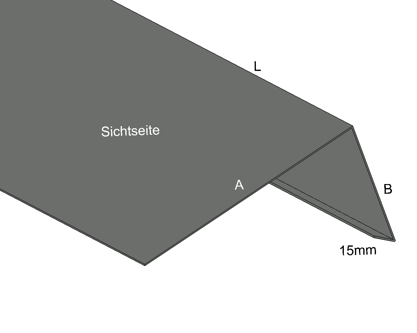 Traufblech_RAL7005_Mausgrau