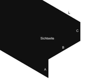 Z-Profi_RAL9005_Tiefschwarz